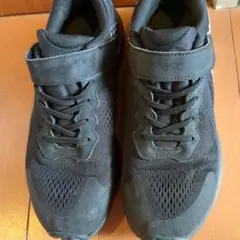 Item thumbnail for item 7a6520b8-0dd4-4584-ac1a-3256c37aef21