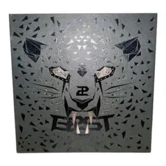 【希少・美品】BEAST 1st Album BEAST IS THE B2ST