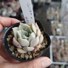 MIWAWA様 リクエスト 3点 まとめ商品