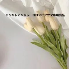 ロベルトアンドレ コロンビアサマ専用出品