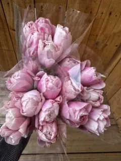 aya様 リクエスト 3点 まとめ商品