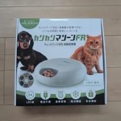 最終値下げ処分！【新品未使用】資格のキャリカレ　トリミング練習用カットモデル犬 最終値下げ処分！【新品未使用】資格のキャリカレ トリミング練習用