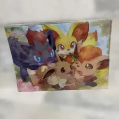 希少　もふもふパラダイス クリアファイル ポケモンセンター限定　4種