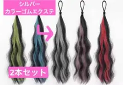 グレー　カラーヘアエクステ 2本セット 約51cm ダンス　文化祭　キッズ