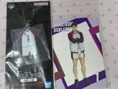 ハイキュー 牛島若利 2点セット