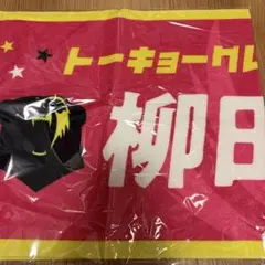 【まとめ売り】柳田将洋グッズ 2025年最新】柳田将洋の人気アイテム - メルカリ