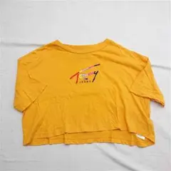 トミー ジーンズ クロップドTシャツ XSサイズ イエロー系 レディースのサムネイル