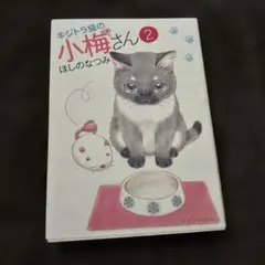 2026年最新】キジトラ猫の小梅さんの人気アイテム - メルカリ