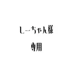 しーちゃん様専用