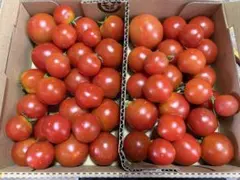 トマト　フルティカ　小玉　1kg箱込　徳島県産のサムネイル