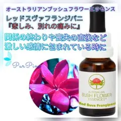 専用】2026Essence-オーストラリアンブッシュフラワーエッセンス