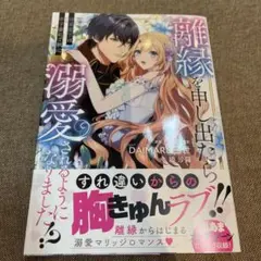 離縁を申し出たら溺愛されるようになりました!? ～将軍閣下は年下妻にご執心～ 1