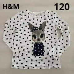 H&M ウサギプリント 長袖カットソー　120 130