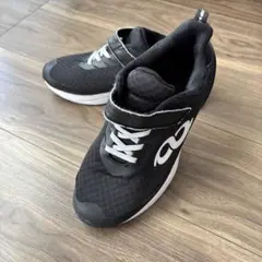 Item thumbnail for item 6c2edd31-d79d-4a48-8040-b66abbd10edc