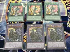 遊戯王　ティマイオスの眼光　合体魔竜ティマイオス　ウルトラ　各3枚　アジア