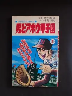 男どアホウ甲子園 28巻全巻 コミック全巻セット・まとめ買い】男どアホウ甲子園(全28巻)セット