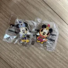 ディズニー アブーズバザール ジャングルカーニバル　ピンバッジ ミッキー ミニー
