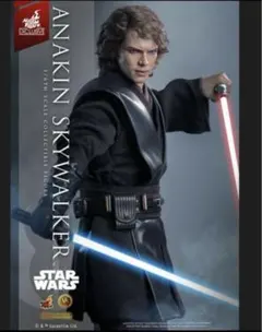 2025年最新】アナキンスカイウォーカーホットトイズの人気