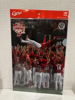 Carp V7記念クリアファイルセット(2枚入り)