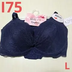 Item thumbnail for item b3f1d61c-dd58-4151-8789-d1e1b6faee9d