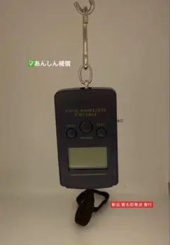 Item thumbnail for item 2587d428-737b-4d48-9c04-34580f96faf6