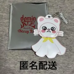 straykids スキズ ランダムミニうちわ ヒョンジン ジニレット