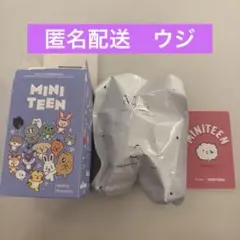 POP MART MINITEEN Healing Moments ウジ