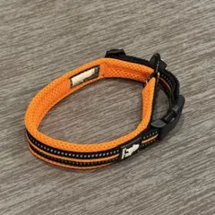 cocomall わんちゃん首輪のサムネイル