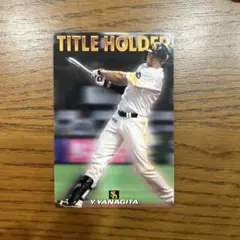 柳田悠岐 MVP トレーディングカード 2015