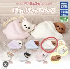 ぽかぽかわんこ ガチャ トイプードル（ブラウン）