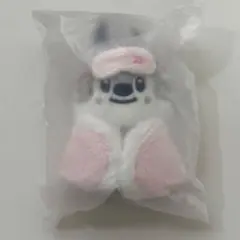 バンチャン ぬいぐるみ SKZOO SKZ 5'CLOCK - メルカリ