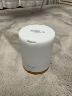 Item thumbnail for item 1a1e5732-3988-4191-b2da-d5e2dacf4729