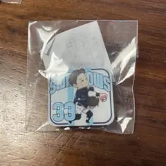 ヤクルトスワローズ #33 内山壮真 クルーピンバッジ2025