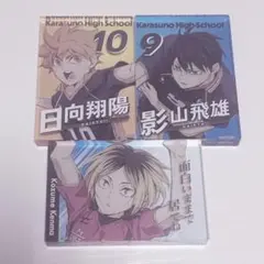 ハイキュー 日向翔陽 影山飛雄 孤爪研磨 ゴミ捨て場の決戦 アクリルブロック