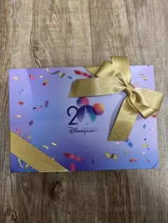 香港ディズニー20周年　年パス　年パスギフト