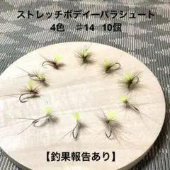 2026年最新】ソフトハックルウエットの人気アイテム - メルカリ