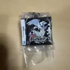 ポケットモンスター パッケージ&ゲームカードキーホルダーコレクション　ブラックのサムネイル
