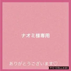 ナオミ様 リクエスト 3点 まとめ商品