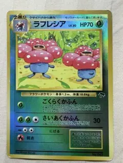 ラフレシア 映画公開記念パック サザンアイランド　旧裏