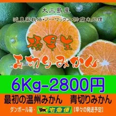 和歌山県産　完熟南高梅‼️L〜２L混合‼️９kg　みかんキング　家庭用 今年も入荷‼️和歌山県産 完熟南高梅 超大玉‼️4Lサイズ 2kg みかん