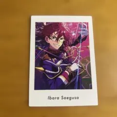 七種茨 ぱしゃっつ