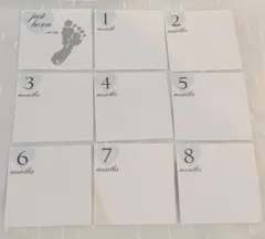 Item thumbnail for item 7cd4e18c-8434-4ab0-8329-fd9ab145bd94