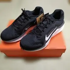 美中古】NIKE ペガサス 42 ブラック 26.0cm 女性普段履きのみ - メルカリ