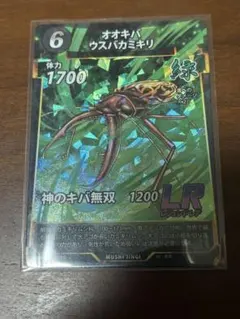 2026年最新】オオキバウスバカミキリの人気アイテム - メルカリ