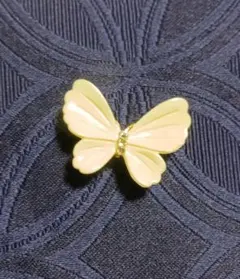 버터플라이 벨트 클로저