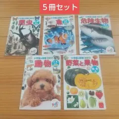 小学校の図鑑 NEO 5冊セット