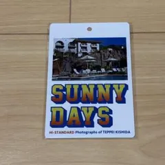 Hi-STANDARD SUNNY DAYS カード