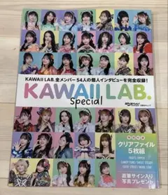 KAWAII LAB. Special 雑誌 クリアファイル無し