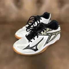 バレーボールシューズ 23