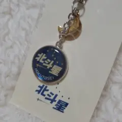 北斗星号　個室キーホルダー　非売品 2025年最新】北斗星 乗車記念 キーホルダーの人気アイテム
